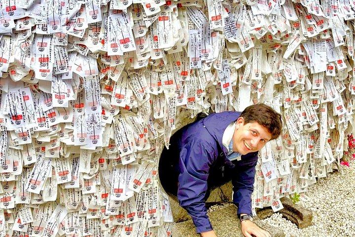 京都フルコースツアー：必見スポット＆隠れた名所10選
