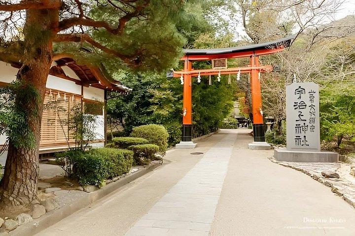 Matcha e Byodoin Kyoto Tour Privado