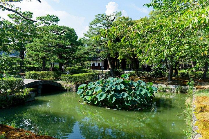 京都3時間プライベートウォーキングツアー(寺院入場付き)