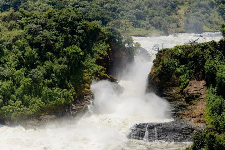 2 dias Murchison cai safari
