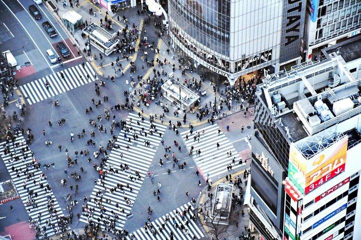 Private 6 Hour Tokyo Cruise Port Sightseeing Tour Driver Only