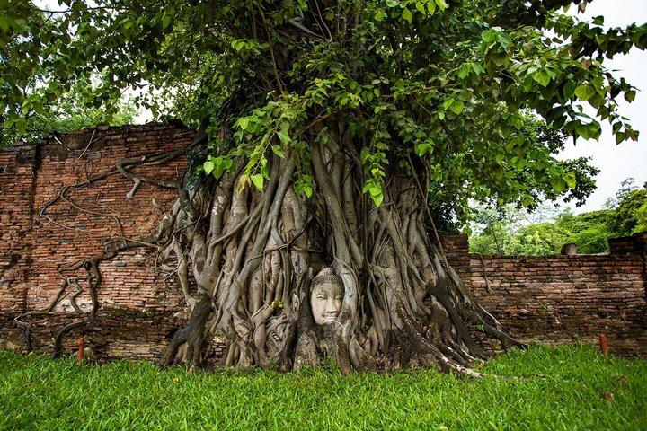 Temples and UNESCO Heritage Private Ayutthaya Day Trip from BKK