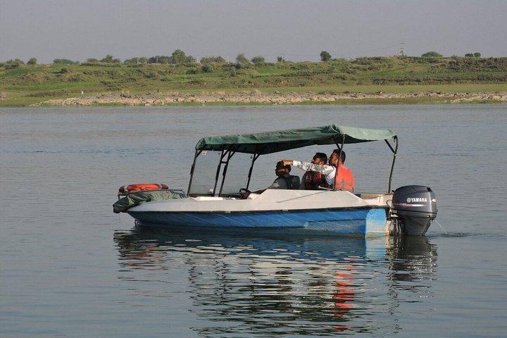 Excursion d'une demi-journée sur la rivière Chambal au départ de Ranthambore