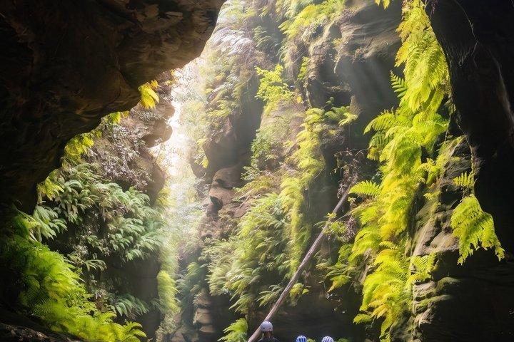 シドニー発ブルーマウンテンズ・アクティブ・ハイキング・ツアー（ライドなし）