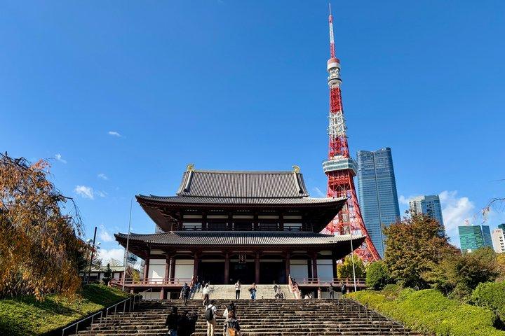 東京プライベート半日ハイライトガイド付き車でのツアー