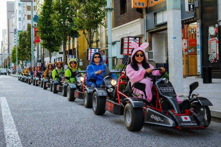 Japão Go-Kart Tokyo Skytree/Akihabara (IDP Required)
