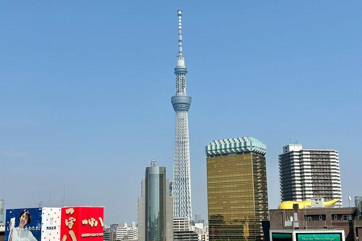東京プライベート半日ハイライトガイド付き車でのツアー