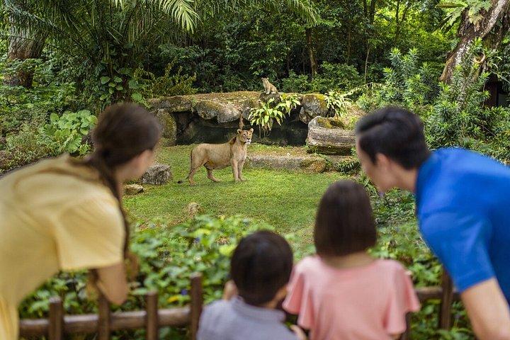 シンガポール動物園（トランプライド付き）エクスプロリアまたは朝食（オプション）