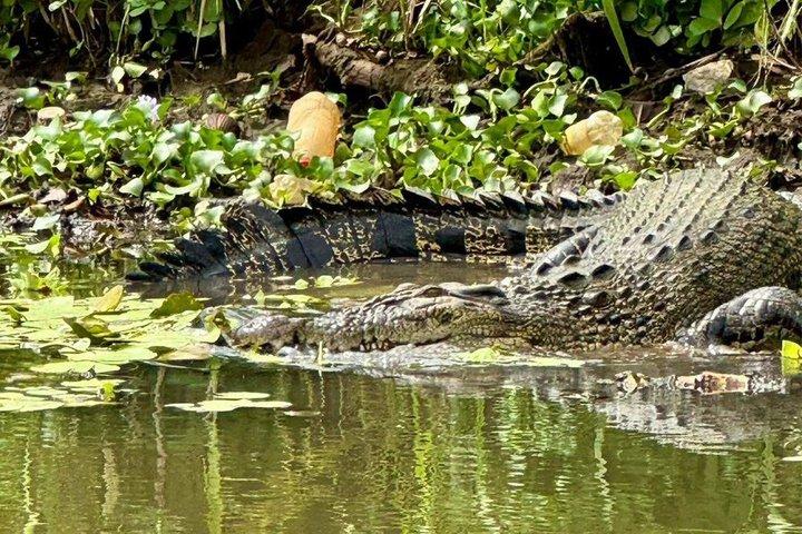 Nilwala River safari fra Matara