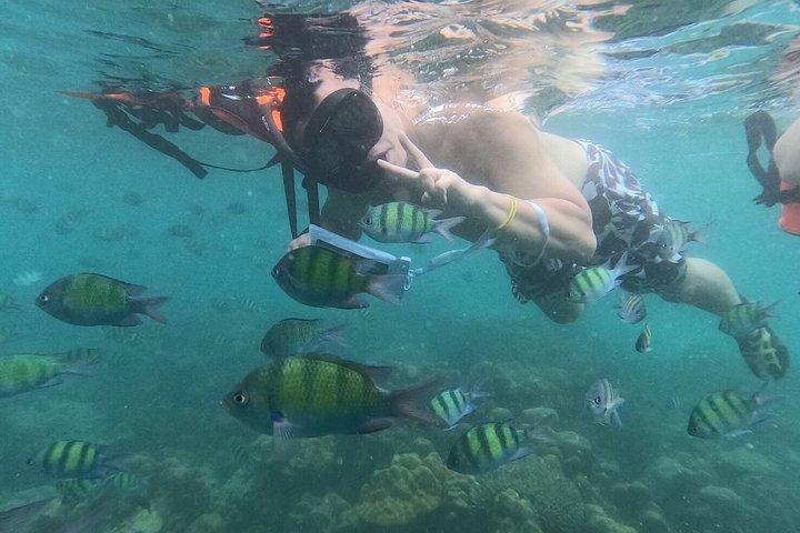Vroegboektocht Phi Phi + uitzichtpunt – Premium Speedboot vanuit Krabi