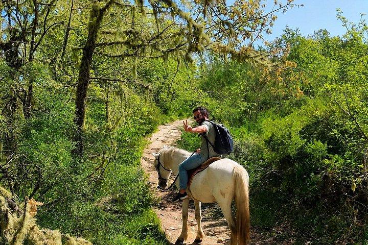 From Porto: Douro Countryside Horse Riding Day Trip and Lunch