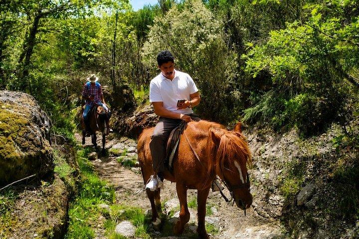 ポルトから：ドウロ田園乗馬日帰り旅行とランチ