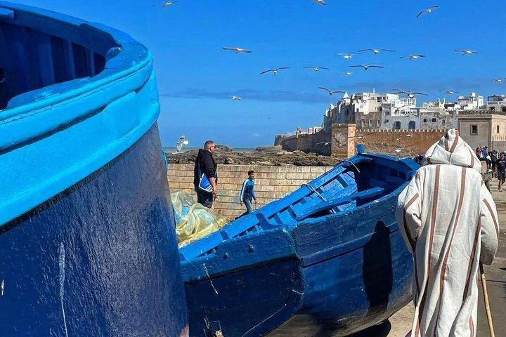 From Marrakech: Private Day Trip to Essaouira