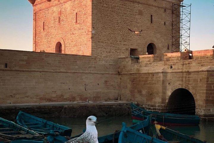 From Marrakech: Private Day Trip to Essaouira
