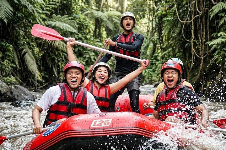 Gorilla Adventures : ウブドオフロードATV＆ホワイトウォーターラフティング