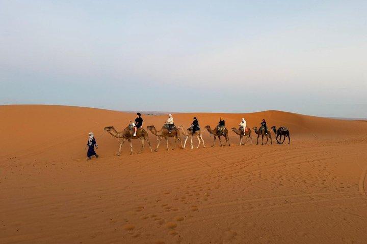 Marrakech to Fes : Camel Trek & Ait Ben Haddou（キャメル・トレック＆エイト・ベン・ハドゥ）