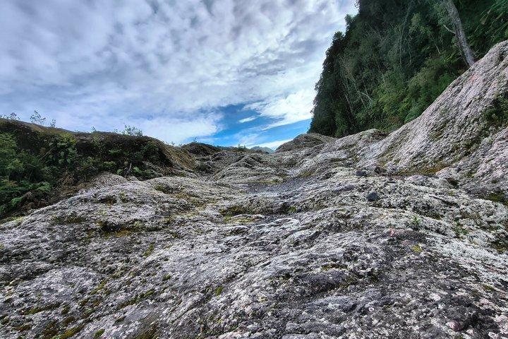 Réserve nationale de Llanquihue Trekking Experience