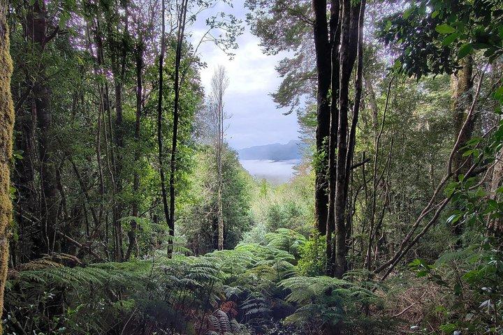 Réserve nationale de Llanquihue Trekking Experience