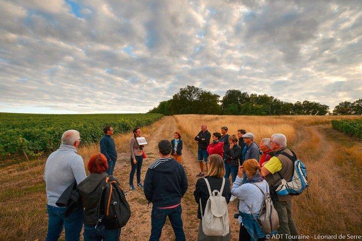 Besichtigung eines Weinbergs, eines Weinguts und eines Kellers mit Weinprobe in Vouvray, Loiretal
