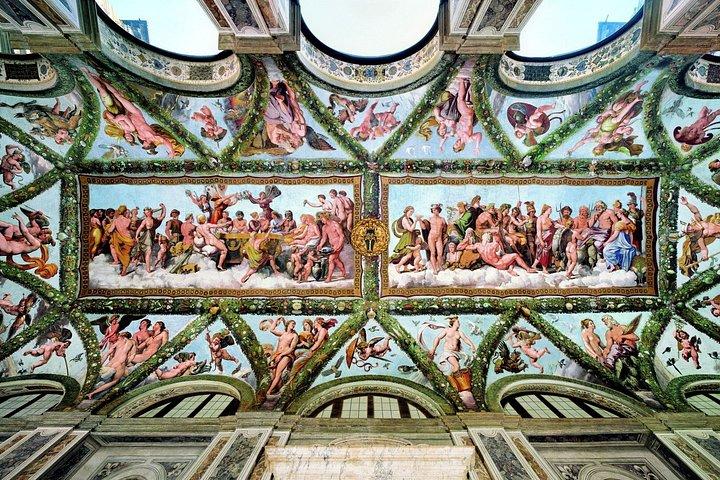 ローマのヴィラ・ファルネジーナ入場券