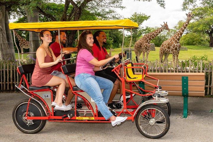 Zoo Miami Ticket mit optionalem Upgrade