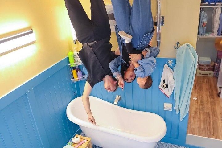 逆さまハウス一般入場券