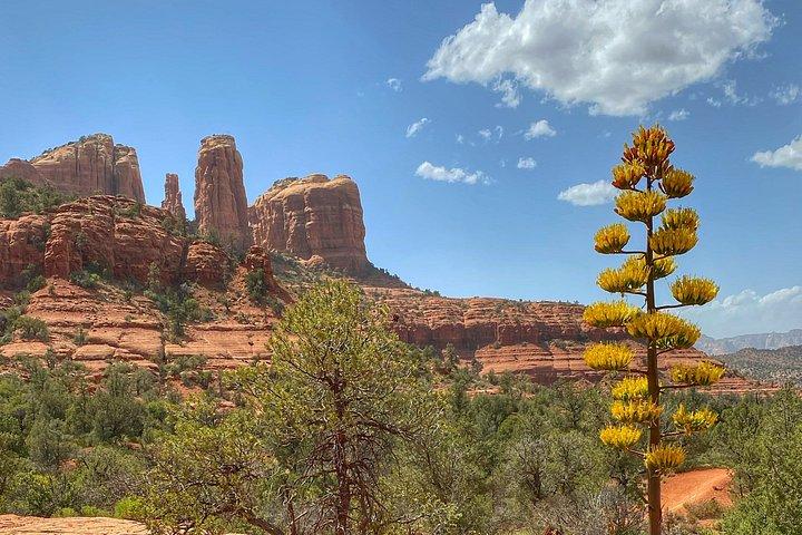 Sedona Red Rock Country Monuments Hike With Private Guide