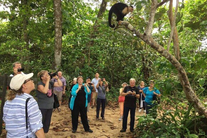 カウイタ国立公園でプエルト・リモンビーチブレイク