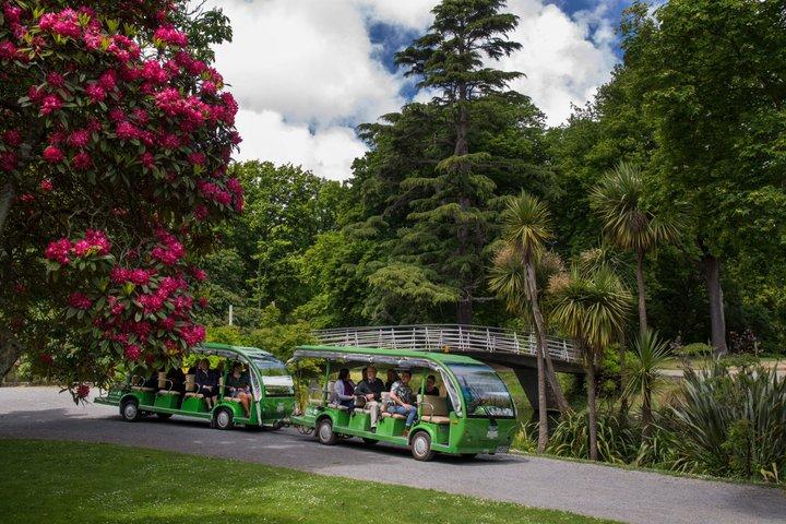 Tour dei giardini botanici di Christchurch