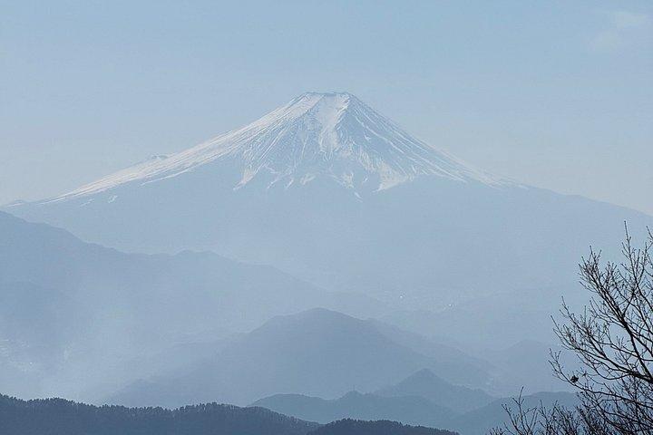 Tokyo Local Holiday