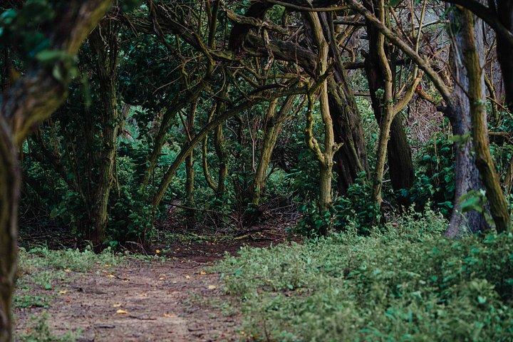 マウイ島での聖地癒しの旅
