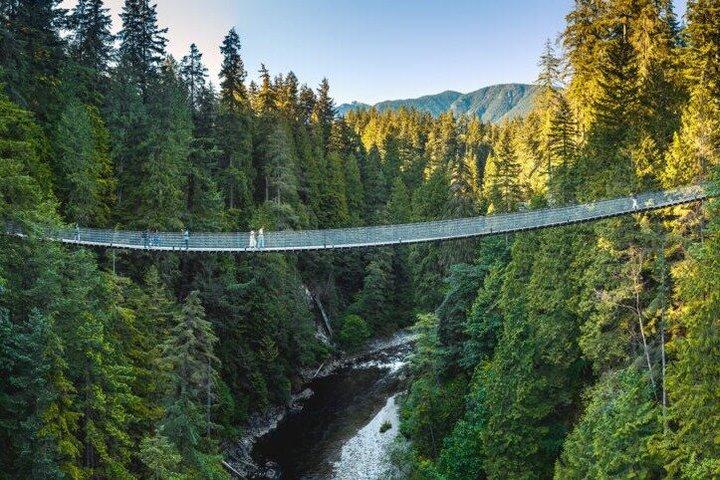 Capilano Hängebrücke und Grouse Mountain