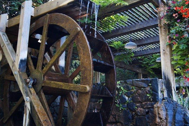 ビクトリアとブチャート庭園、高架体験