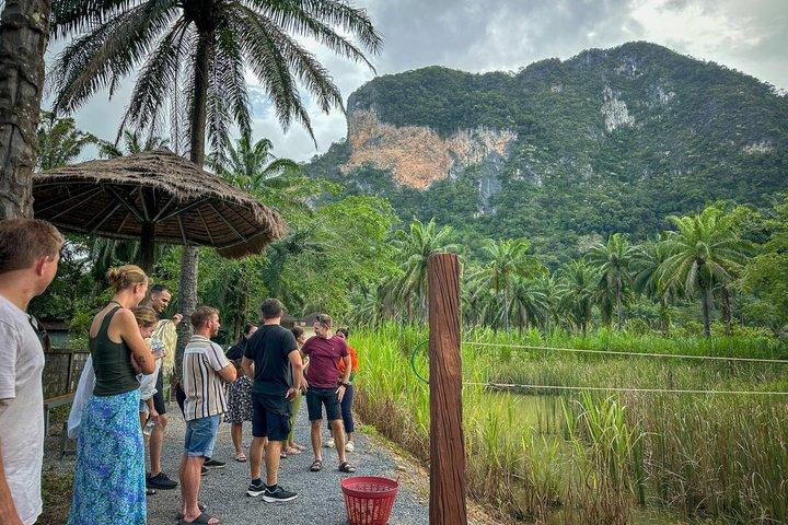 Destacado de medio día con elefantes (sin tocar) en Ao Nang