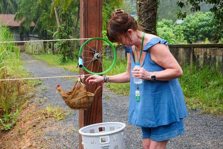 アオナンで象と半日ハイライト（ノータッチ）