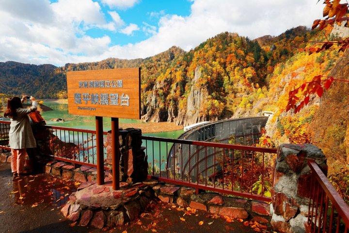 Hokkaido Hoheikyo Dam Jozankei och Shikotsuko Tour från Sapporo