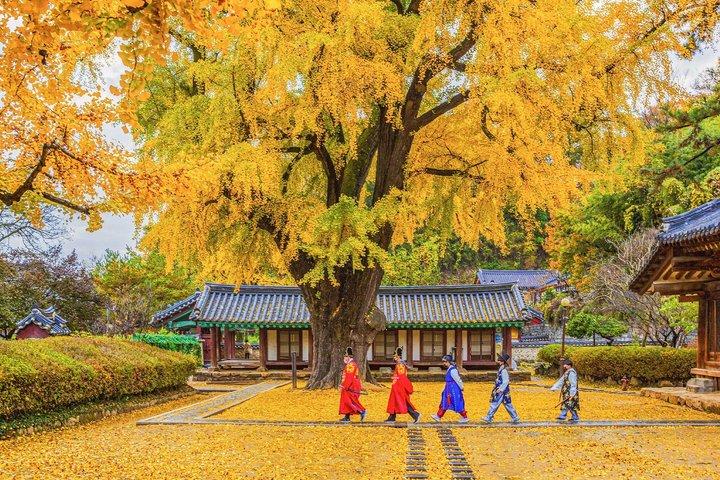 Fulddagstur til Jeonju Hanok Village: Jangtaesan Green Forest