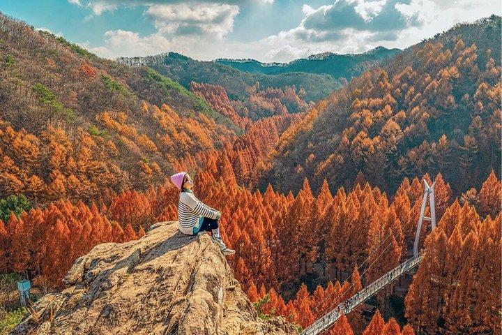 全州韓屋村全日ツアー : チャンテサン緑の森