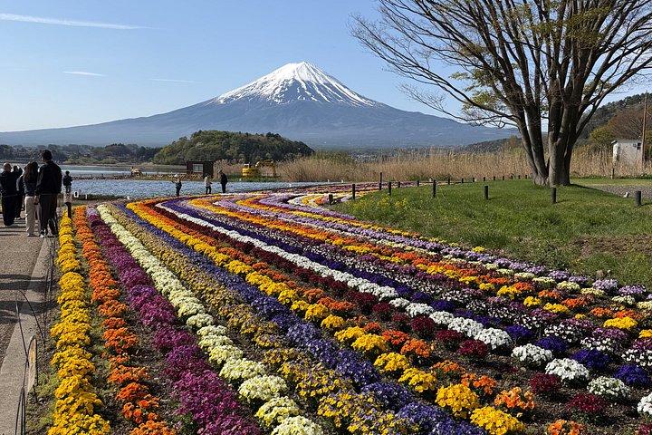 富士山&箱根 完全カスタマイズプライベートツアー(英語ガイド付き)
