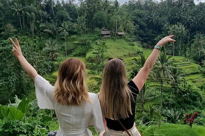 Privat rundtur i Ubud: Risterrass, Tirta Empul-templet och vattenfallet