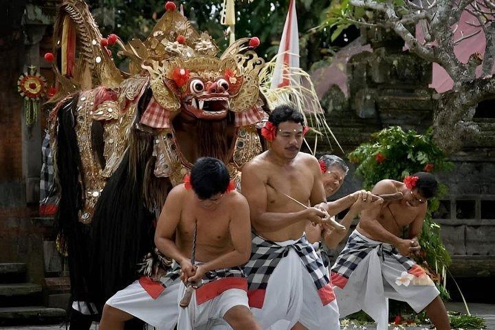 プライベートウブドツアー：ライステラス、ティルタエンプル寺院、滝