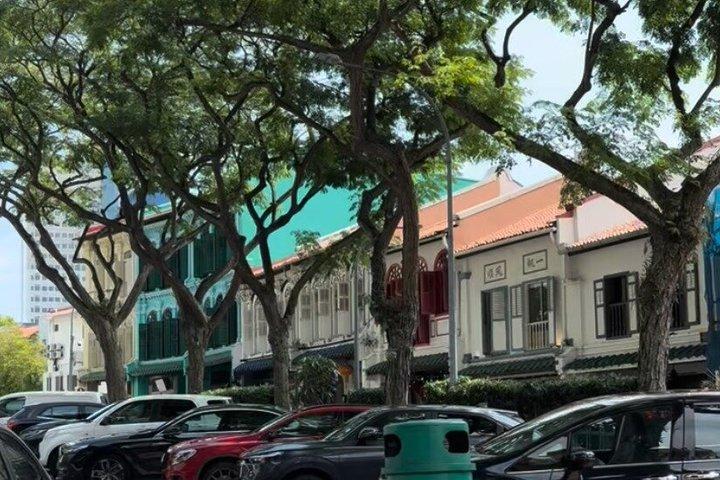 Guided Walking Tour in Singapore’s Hidden Gems