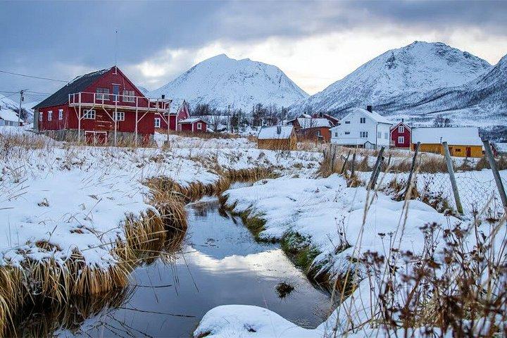 Tromsø : 北極圏のフィヨルド観光とピクニックでソンマロイへ