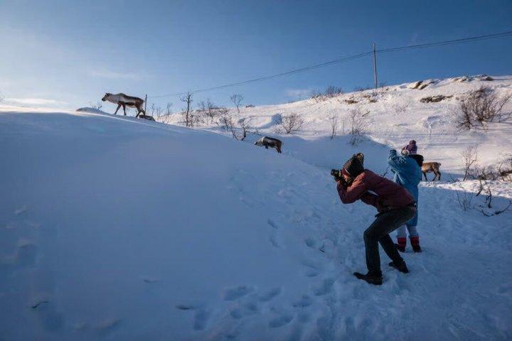 Tromsø : 北極圏のフィヨルド観光とピクニックでソンマロイへ