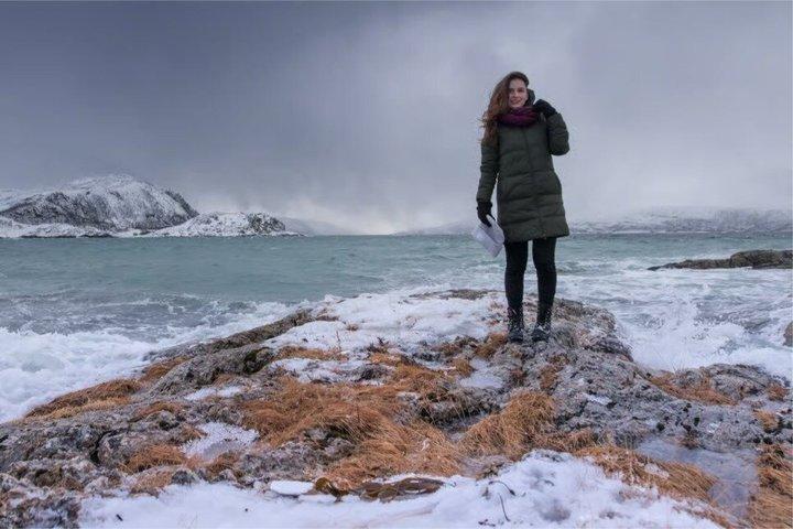 Tromsø : 北極圏フィヨルド旅行（観光ランチと写真付き）