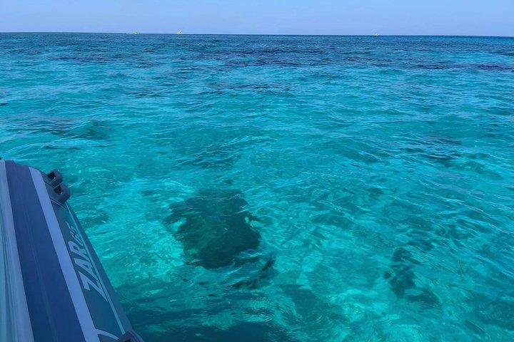 Passeio de bote com aperitivo e paradas em Tropea e Capo Vaticano.