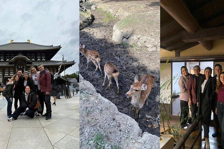 東大寺・鹿・春日大社を巡る奈良プライベートツアー