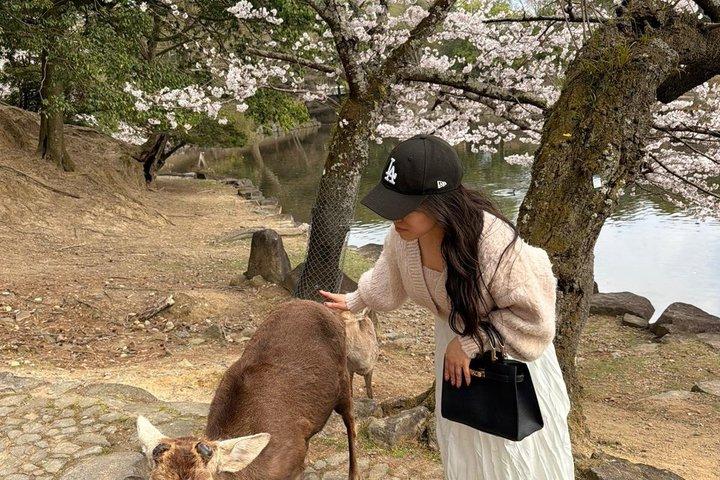 Privétour door Nara met Todai-ji, herten en Kasuga Taisha