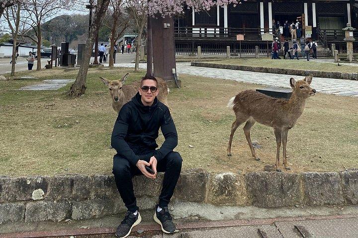 東大寺・鹿・春日大社を巡る奈良プライベートツアー