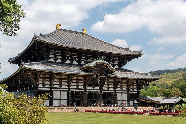 東大寺・鹿・春日大社を巡る奈良プライベートツアー